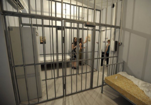 Room Escape Rijeka by Fox In A Box - Travel Croatia Live